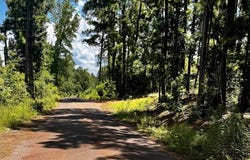 565 County Road 871, Cushing, TX 75760