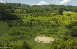 1430 Clinch Valley (55.55 acres) Rd, Sneedville, TN 37869