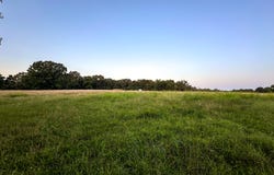 TBD Lightning Bug Lane, Goodman, MO 64843