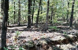 TBD Doyel RD lot: 0, Mountainburg, AR 72946