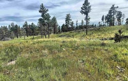 TBD Jenny Road, Hot Springs, SD 57747