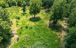 118 Whispering Hill Drive, Blue Eye, MO 65611