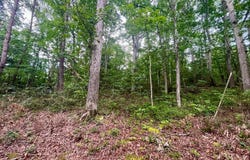 OAK LANE, LURAY, VA 22835