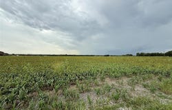 Tbd0000 Cr-237, Gainesville, TX 76240