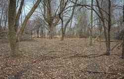 S Crawford Road, Mount Pleasant, MI 48858