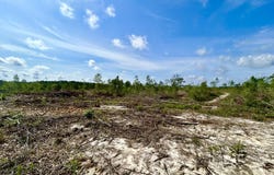 001 Old Highway 24, Neely, MS 39461