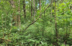 Tbd Hickory Hollow Ln, Copper Hill, VA 24079