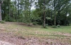 954 Stokes Ln, Bath Springs, TN 38311