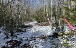 Bog Road lot: 21, Benton, ME 04901