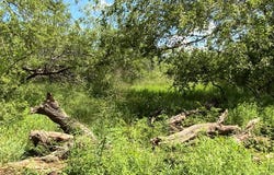 14135 County Road 1144, Sinton, TX 78387