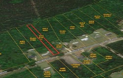 0 Maple Branch Road, Reevesville, SC 29471