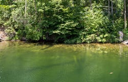 23920 Beers Road, Mesick, MI 49668