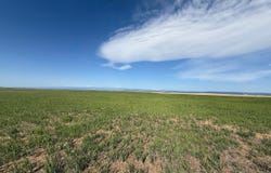 1 TBD FFD25-0004A County Road 15, Carr, CO 80612