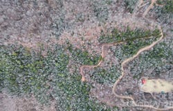 Betts Branch Road, Bryson City, NC 28713