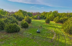 0 E470 Road, Pawnee, OK 74058