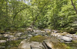 Big Spring Rd, Oneida, TN 37841
