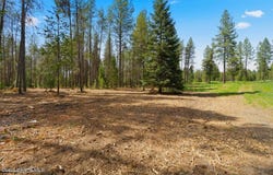 NKA 10-Ac E Parks Rd, Athol, ID 83801
