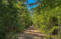 9617 AL Hwy 22, Orrville, AL 36767