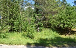 Lot 2 Knights, Gladwin, MI 48624