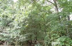 Tbd St Luke Church Road, Goldston, NC 27252