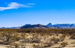 15014 Red Dawg Road, Terlingua, TX 79852