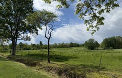 7325 Flemingsburg Road, Morehead, KY 40351