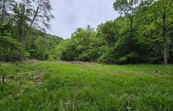 Tbd Boatmans Mountain Lot 3 Road, Morristown, TN 37814