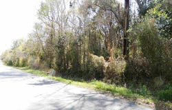 1900 Virecent Rd, Cantonment, FL 32533