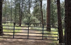 Cedar Way, Alturas, CA 96101