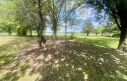 2421 County Road 151, Henagar, AL 35978