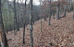 CARDINAL VIEW ROAD, PAW PAW, WV 25434
