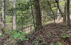 Lot 20 Big Ben, Ellijay, GA 30540