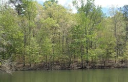 W POINT DRIVE lot: 2 & 3, Arley, AL 35541