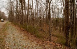 Scotch Pine Dr lot: 356, Copper Hill, VA 24079