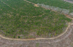 0 Chipola Rd, Slocomb, AL 36375