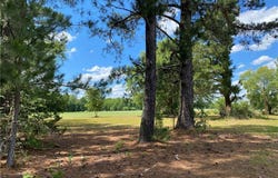 11443 Whitehead Road, Branchville, VA 23828