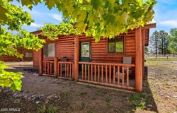2353 S Buffalo Loop, Overgaard, AZ 85933