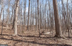 3891 GREENMEADOW LN, DAVIDSONVILLE, MD 21035
