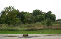 McGuirk, Clare, MI 48617