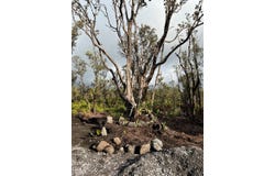 11-2545 KALEPONI DR, Volcano, HI 96785