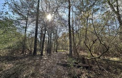 33.66+/-AC Snyder Avenue, AL