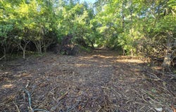 .45 Lot 14 Burning Tree Lane, Jackson, MI 49201