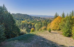 4204 Riverdale Rd S, Salem, OR 97302