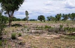 ROAD 5195, Bloomfield, NM 87413
