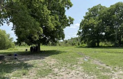 295 Jim Guillory Road, Opelousas, LA 70570