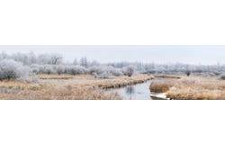 512xx Leaf River Road Tract A, Ottertail, MN 56571