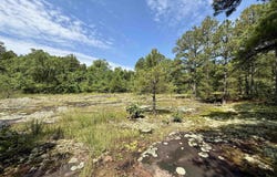 001-01049-000 CR 128, Calico Rock, AR 72519