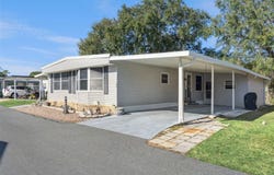 221 PINEWOOD DRIVE, EUSTIS, FL 32726