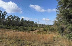 Hwy 95 A, Cantonment, FL 32533