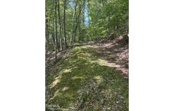Tbd Skeetrock Road, Clintwood, VA 24228